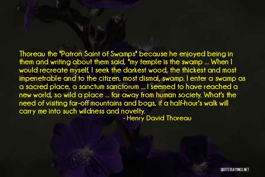 Sanctorum Sanctum Quotes By Henry David Thoreau Sanctorum Sanctum Quotes By Henry David Thoreau