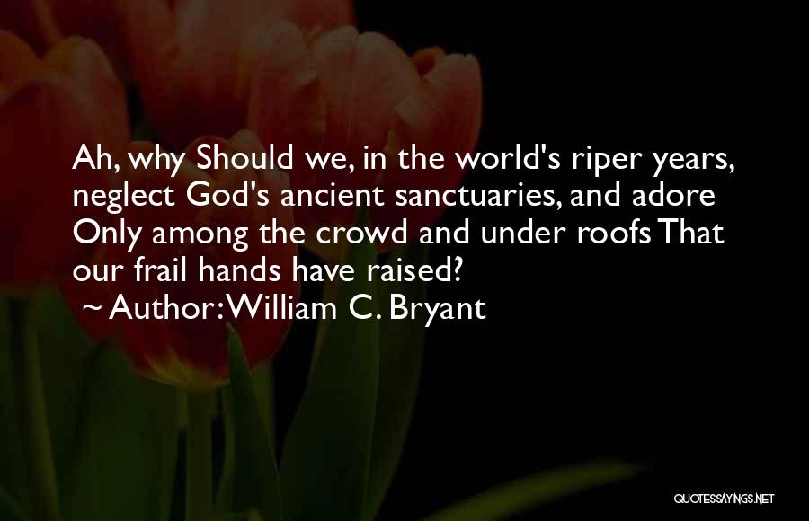 Sanctuaries Quotes By William C. Bryant