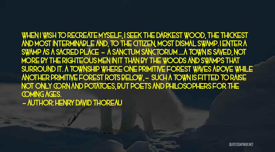 Sanctum Quotes By Henry David Thoreau