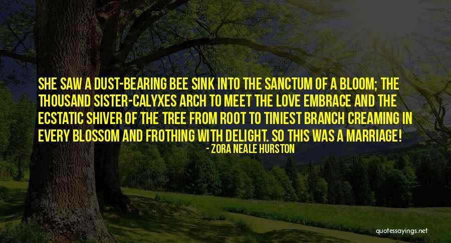 Sanctum Quotes By Zora Neale Hurston