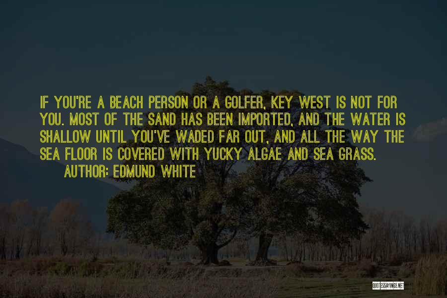 Sand And Beach Quotes By Edmund White