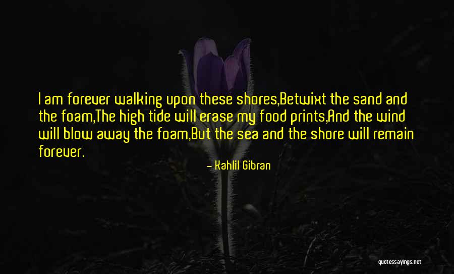 Sand And Foam Kahlil Gibran Quotes By Kahlil Gibran Sand And Foam Kahlil Gibran Quotes By Kahlil Gibran