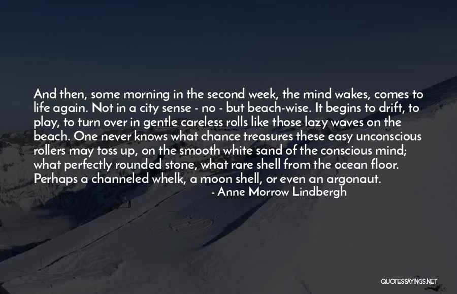 Sand And Life Quotes By Anne Morrow Lindbergh Sand And Life Quotes By Anne Morrow Lindbergh