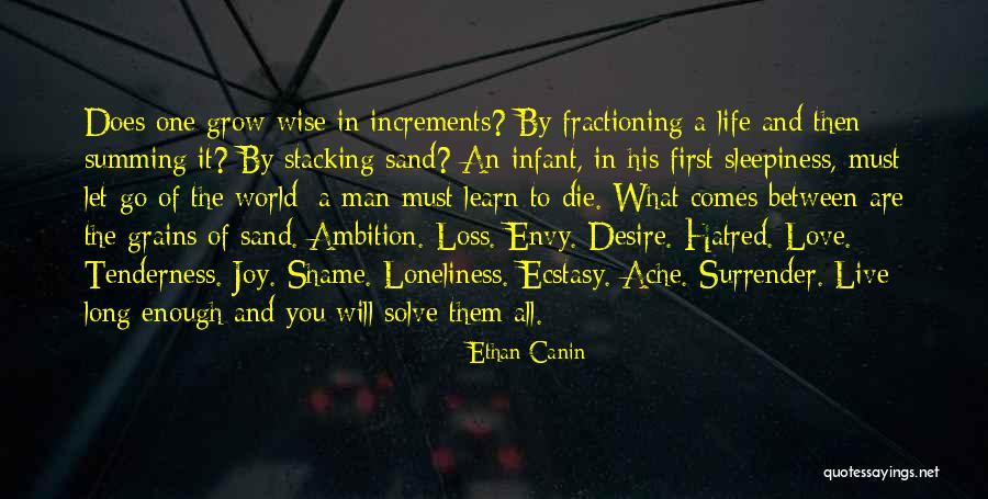 Sand And Life Quotes By Ethan Canin Sand And Life Quotes By Ethan Canin