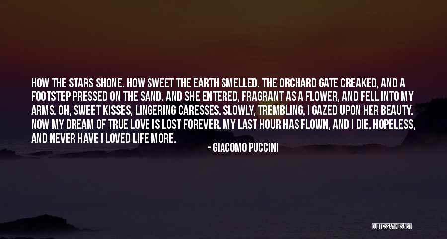 Sand And Life Quotes By Giacomo Puccini