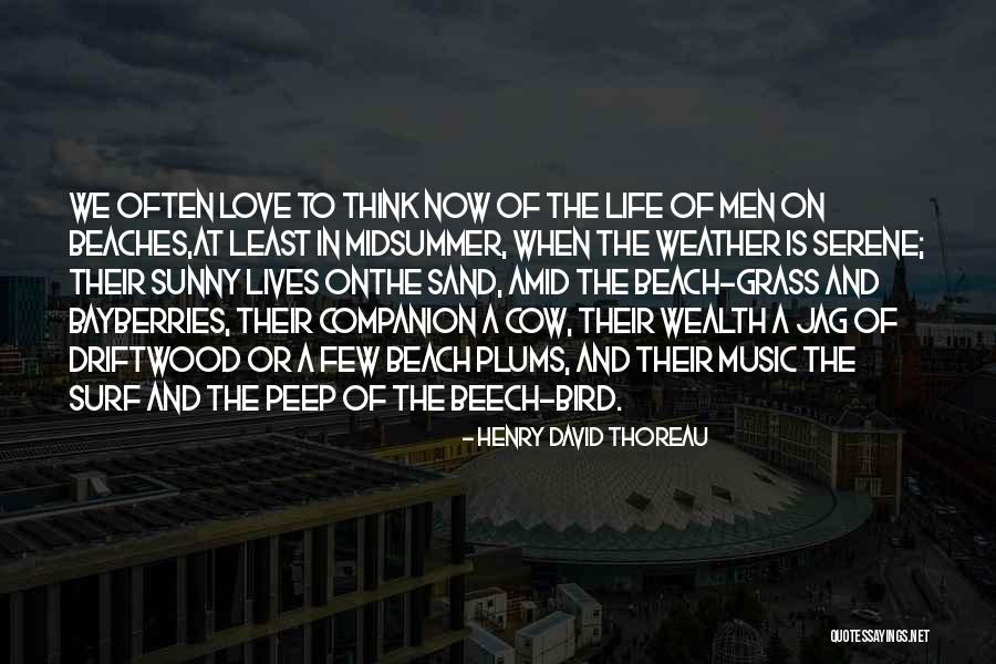 Sand And Life Quotes By Henry David Thoreau Sand And Life Quotes By Henry David Thoreau