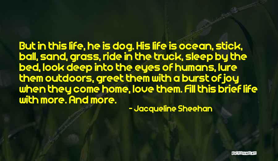 Sand And Life Quotes By Jacqueline Sheehan Sand And Life Quotes By Jacqueline Sheehan
