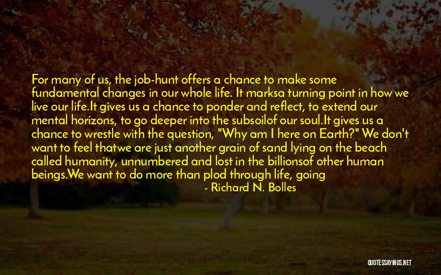 Sand And Life Quotes By Richard N. Bolles Sand And Life Quotes By Richard N. Bolles