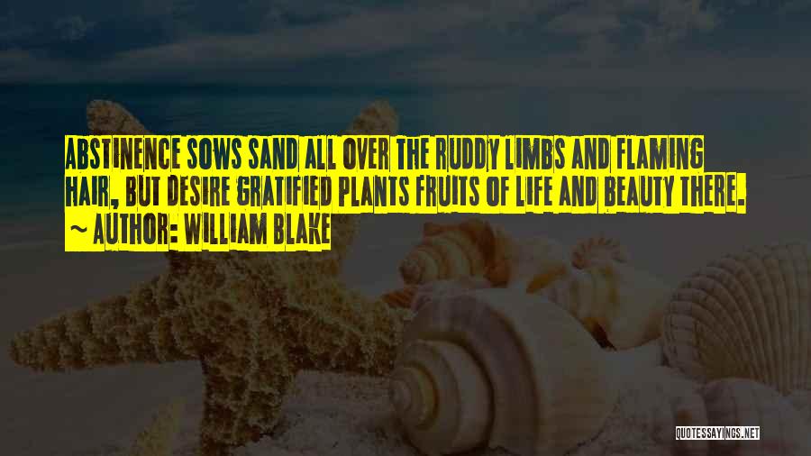 Sand And Life Quotes By William Blake