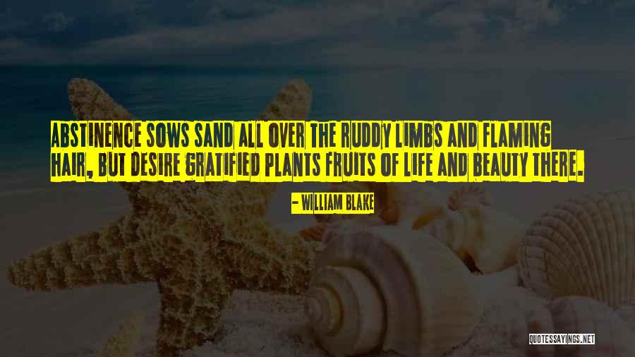 Sand And Life Quotes By William Blake