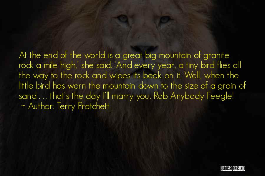 Sand And Rock Quotes By Terry Pratchett