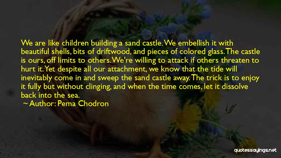 Sand And Shells Quotes By Pema Chodron