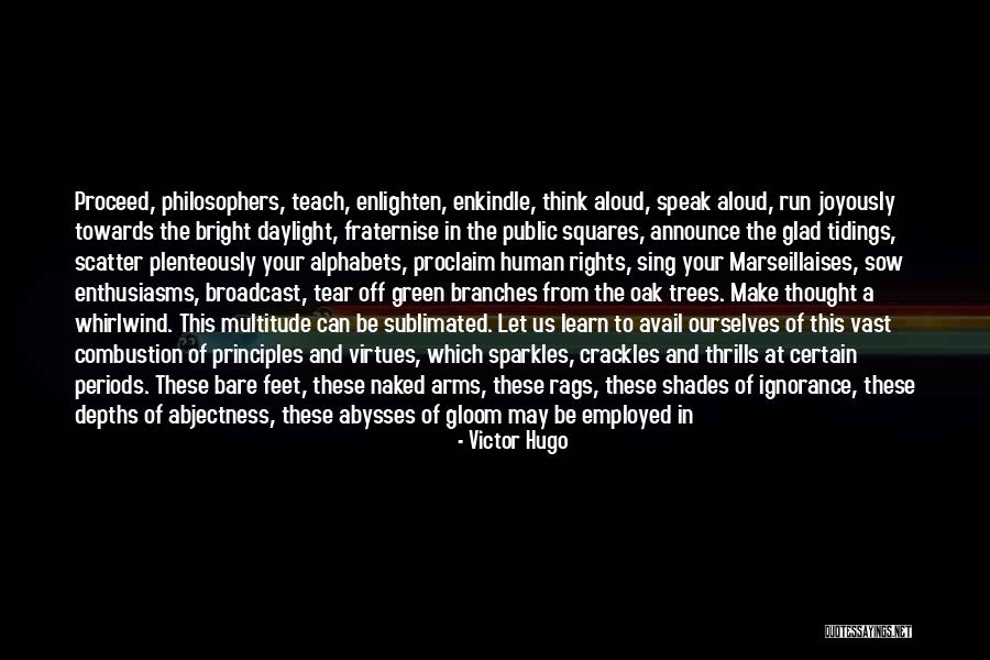 Sand And Stars Quotes By Victor Hugo Sand And Stars Quotes By Victor Hugo