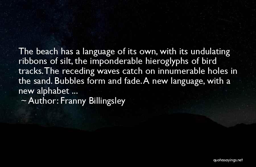 Sand And Waves Quotes By Franny Billingsley