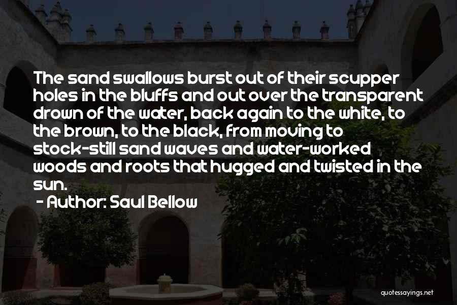 Sand And Waves Quotes By Saul Bellow