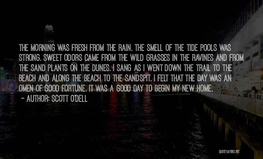 Sand Beach Quotes By Scott O'Dell