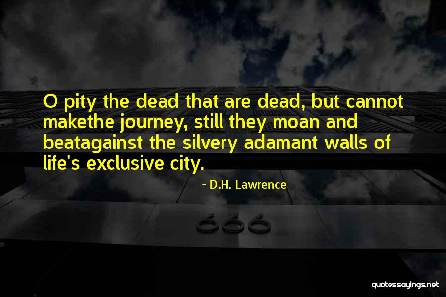 Sand Duning Quotes By D.H. Lawrence Sand Duning Quotes By D.H. Lawrence