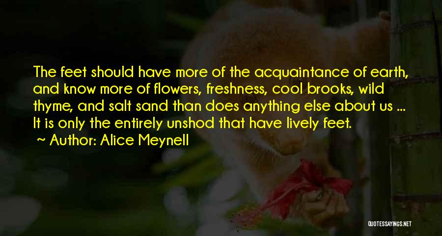 Sand Feet Quotes By Alice Meynell