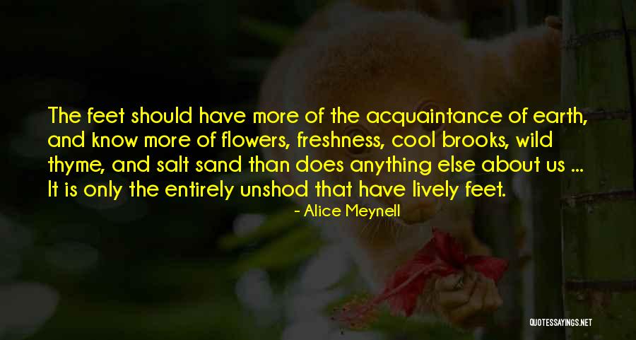 Sand Feet Quotes By Alice Meynell