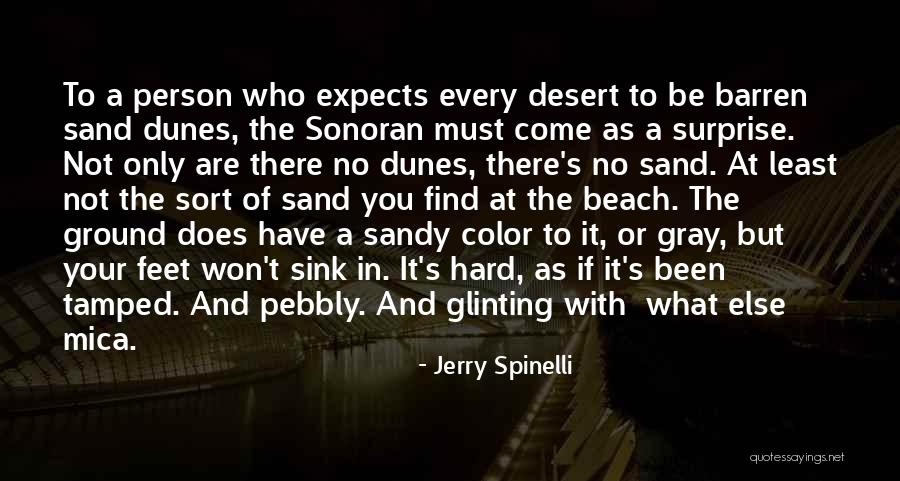 Sand Feet Quotes By Jerry Spinelli