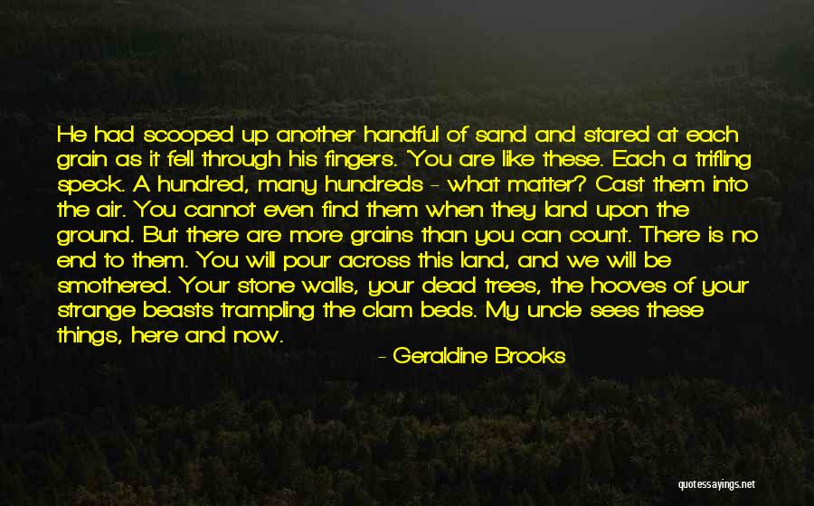 Sand Grain Quotes By Geraldine Brooks Sand Grain Quotes By Geraldine Brooks
