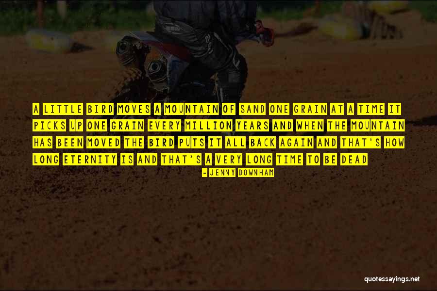 Sand Grain Quotes By Jenny Downham Sand Grain Quotes By Jenny Downham