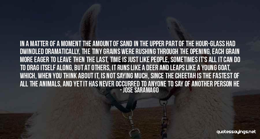 Sand Grain Quotes By Jose Saramago Sand Grain Quotes By Jose Saramago