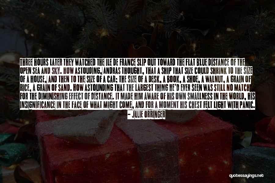 Sand Grain Quotes By Julie Orringer Sand Grain Quotes By Julie Orringer