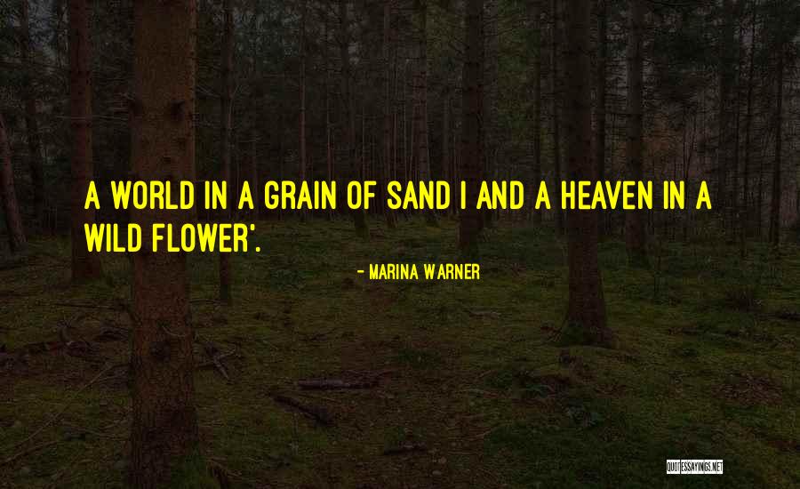 Sand Grain Quotes By Marina Warner Sand Grain Quotes By Marina Warner