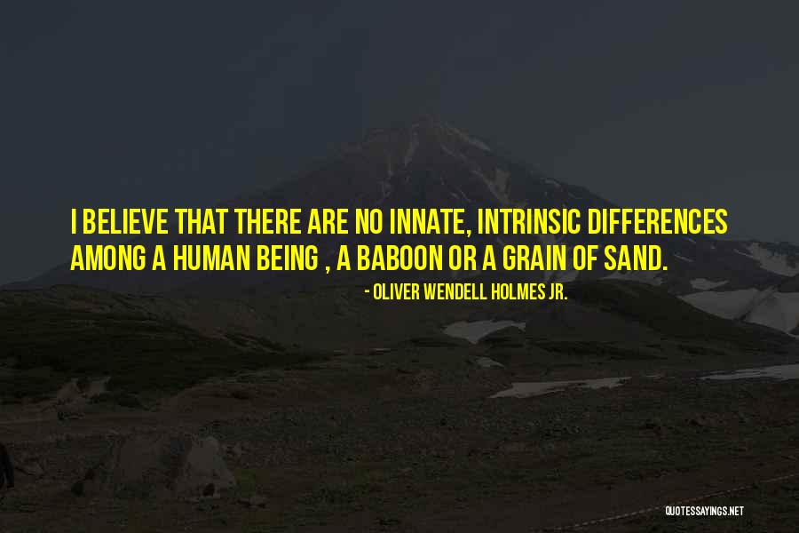 Sand Grain Quotes By Oliver Wendell Holmes Jr. Sand Grain Quotes By Oliver Wendell Holmes Jr.