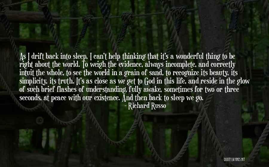 Sand Grain Quotes By Richard Russo Sand Grain Quotes By Richard Russo