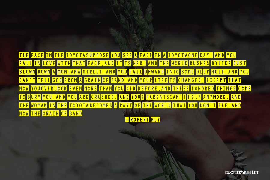 Sand Grain Quotes By Robert Bly Sand Grain Quotes By Robert Bly
