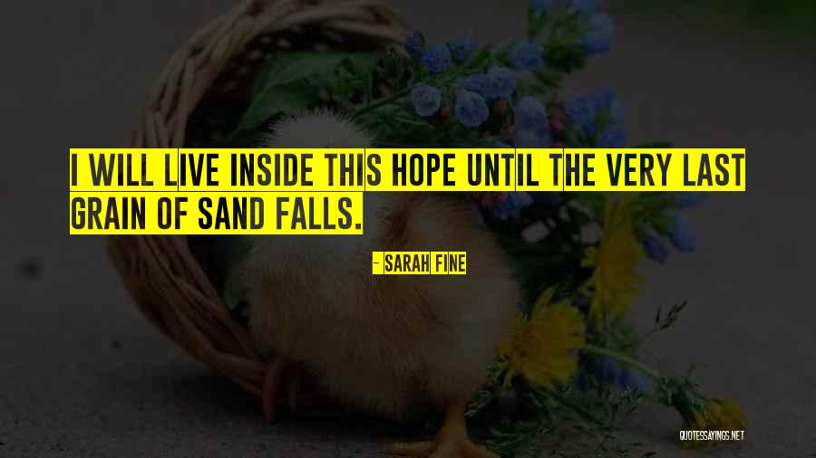 Sand Grain Quotes By Sarah Fine Sand Grain Quotes By Sarah Fine