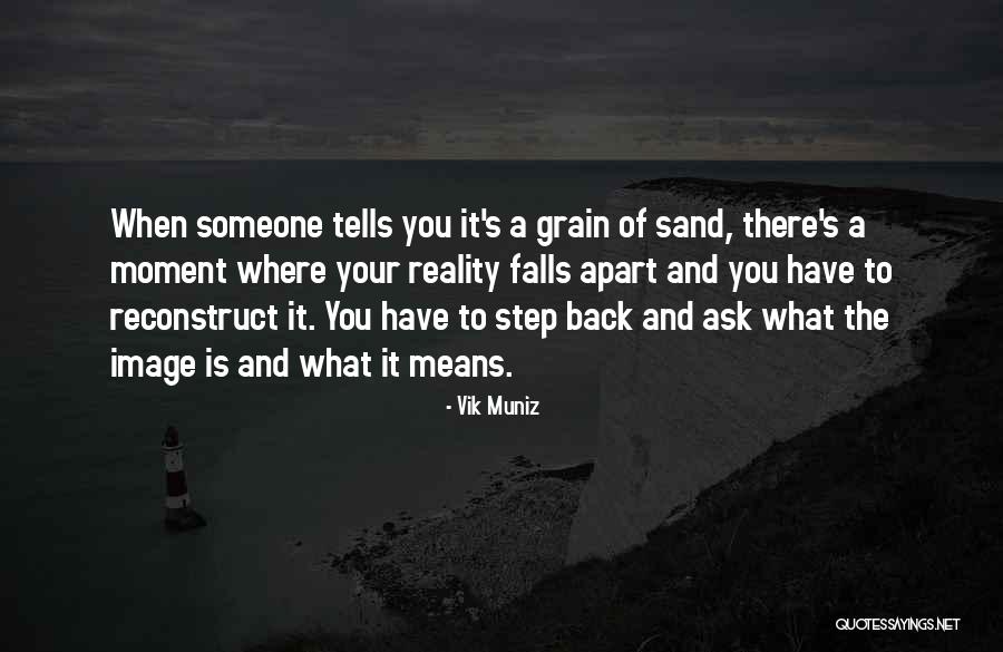 Sand Grain Quotes By Vik Muniz Sand Grain Quotes By Vik Muniz