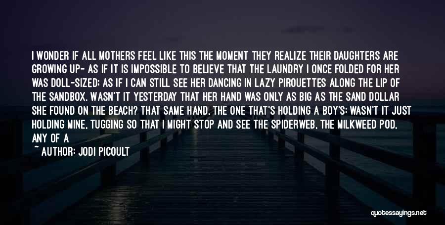 Sand In Hand Quotes By Jodi Picoult
