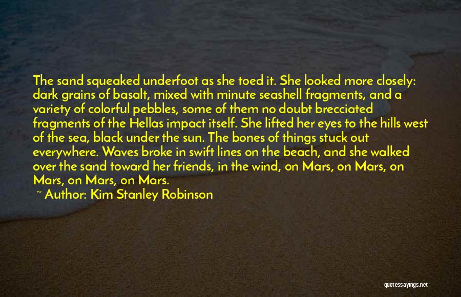 Sand In The Beach Quotes By Kim Stanley Robinson