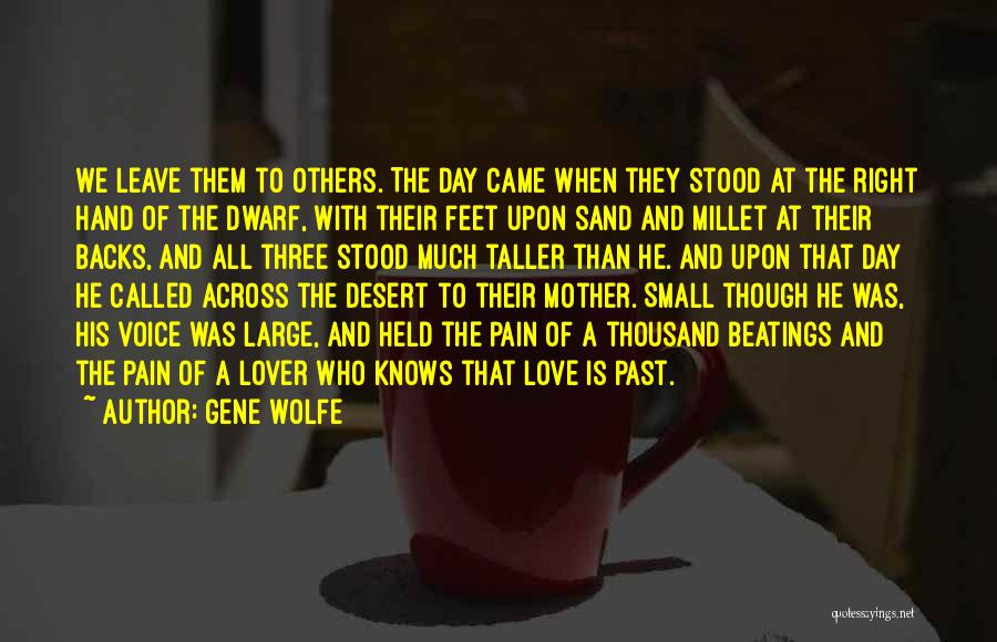 Sand On My Feet Quotes By Gene Wolfe