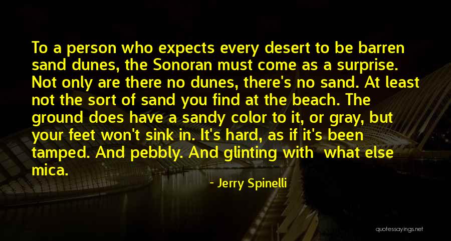 Sand On My Feet Quotes By Jerry Spinelli