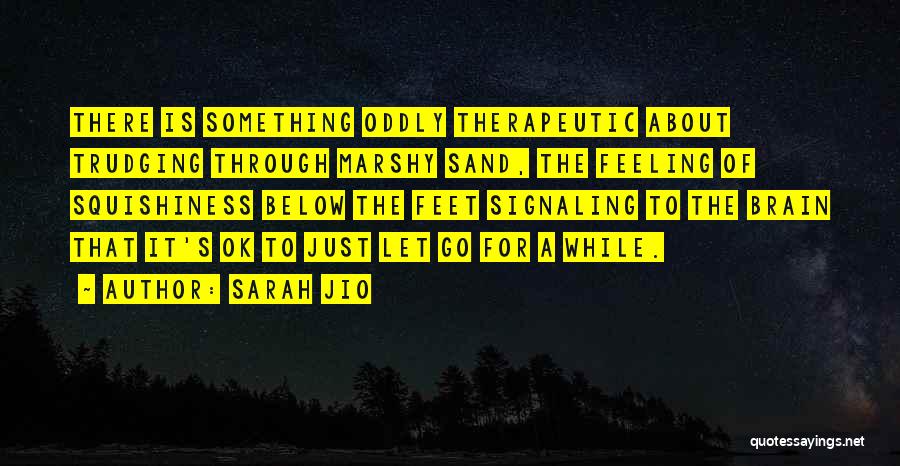 Sand On My Feet Quotes By Sarah Jio