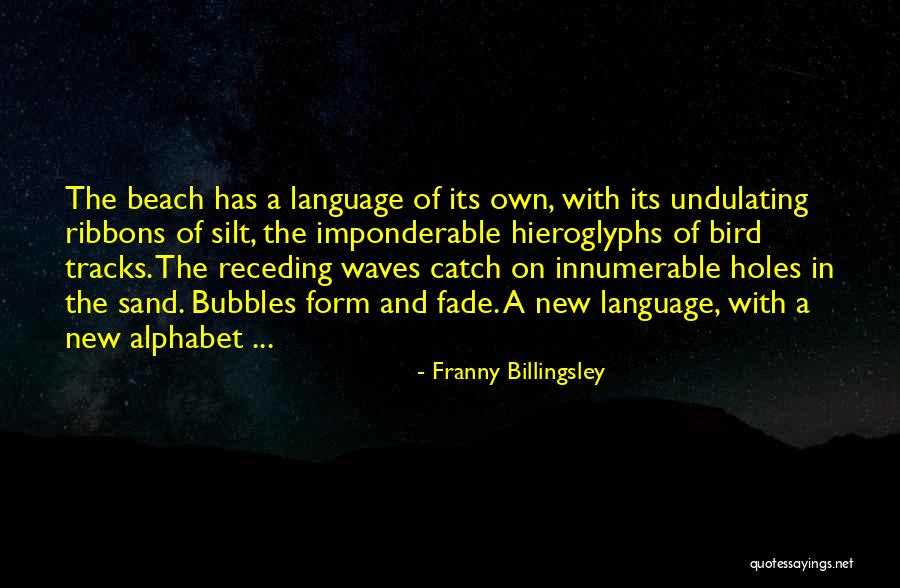 Sand Waves Quotes By Franny Billingsley Sand Waves Quotes By Franny Billingsley