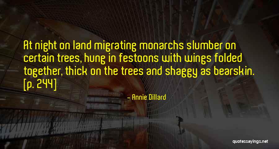 Sandalishop Quotes By Annie Dillard Sandalishop Quotes By Annie Dillard