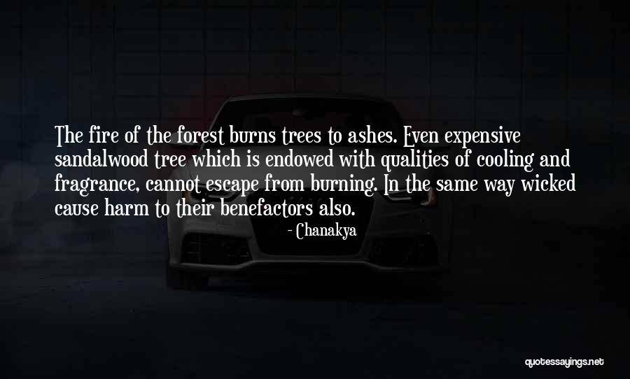 Sandalwood Trees Quotes By Chanakya Sandalwood Trees Quotes By Chanakya