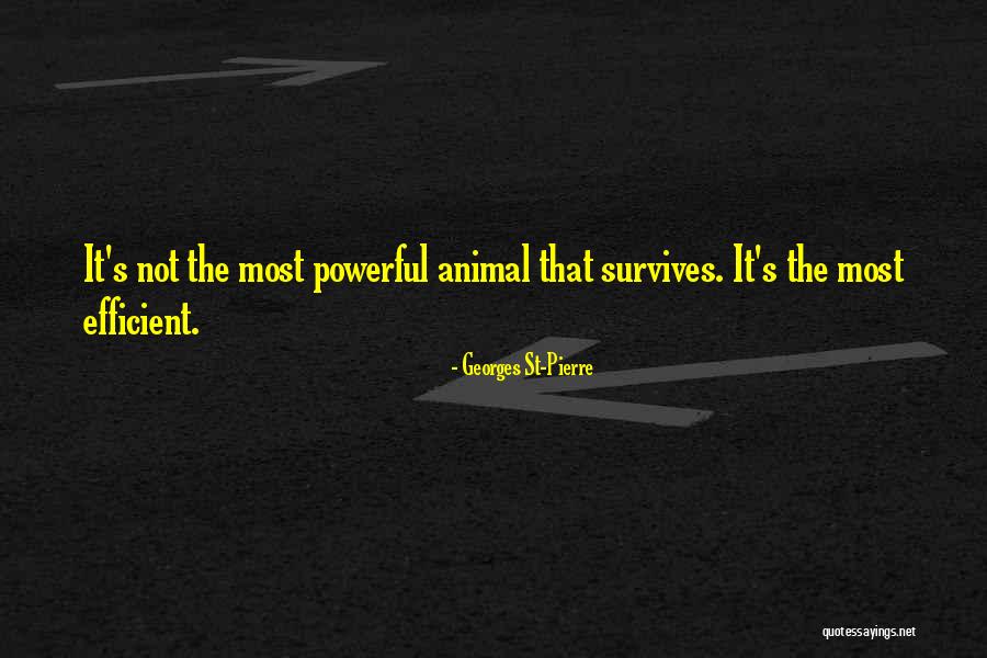 Sandaruwan Perera Quotes By Georges St-Pierre Sandaruwan Perera Quotes By Georges St-Pierre