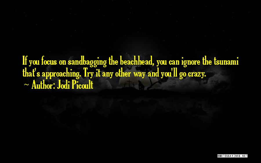 Sandbagging Quotes By Jodi Picoult