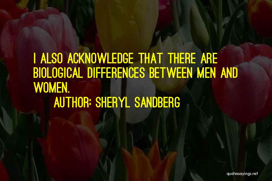 Sandberg Quotes By Sheryl Sandberg