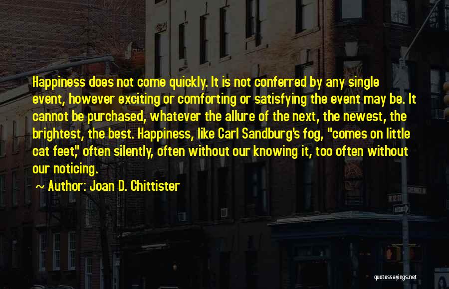 Sandburg Quotes By Joan D. Chittister