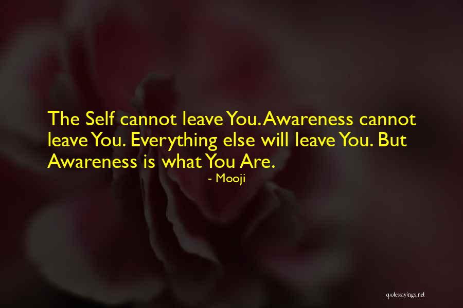 Sandburgs Mortuary Quotes By Mooji Sandburgs Mortuary Quotes By Mooji