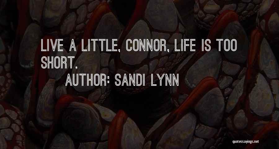 Sandi Lynn Quotes 1245843