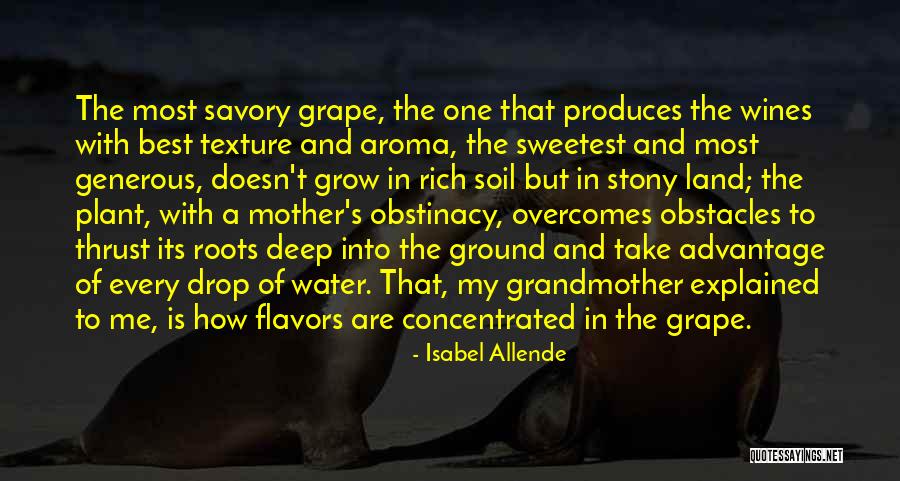 Sandinistas Us History Quotes By Isabel Allende Sandinistas Us History Quotes By Isabel Allende