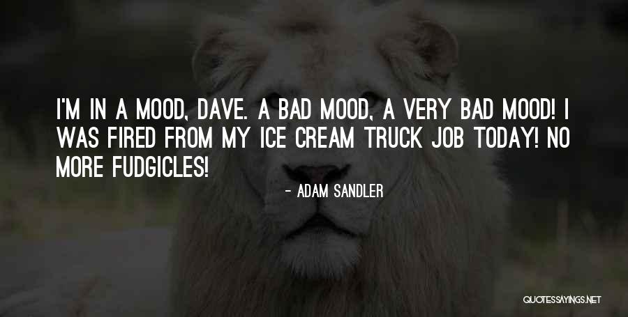 Sandler Quotes By Adam Sandler